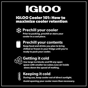 Igloo Small Cooler, 9 Quart Laguna Ice Chest, 13 Can Capacity, Red — sports and outdoor product, view 4