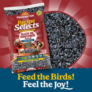 Pennington Select Black Oil Sunflower Seed Wild Bird Dry Feed, 10 lb. New Bag — home and garden product, view 2
