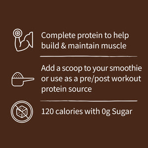 Garden of Life Organic Plant-Based Protein Powder, Chocolate, 20g Protein Shake Drink — sports nutrition product, view 5
