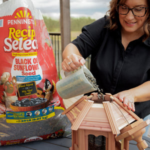 Pennington Select Black Oil Sunflower Seed Wild Bird Dry Feed, 10 lb. New Bag — home and garden product, view 13