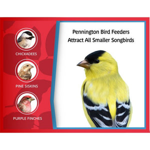 Pennington Earth Smart, Gray Plastic, Hopper Wild Bird Feeder, 2.5 lb. Capacity — home and garden product, view 9