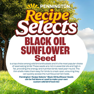Pennington Select Black Oil Sunflower Seed Wild Bird Dry Feed, 10 lb. New Bag — home and garden product, view 4