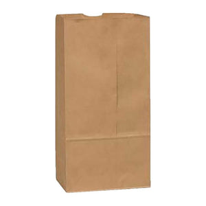 Brown Paper Bag # 12 (500/case) — packaging supply