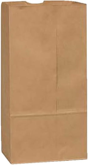 Brown Paper Bag # 12 (500/case) — packaging supply, alternate view