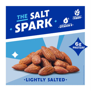 Blue Diamond Almonds, Lightly Salted Low Sodium Snack Nuts For Gluten Free Snacking, 14 oz. — grocery product, view 3