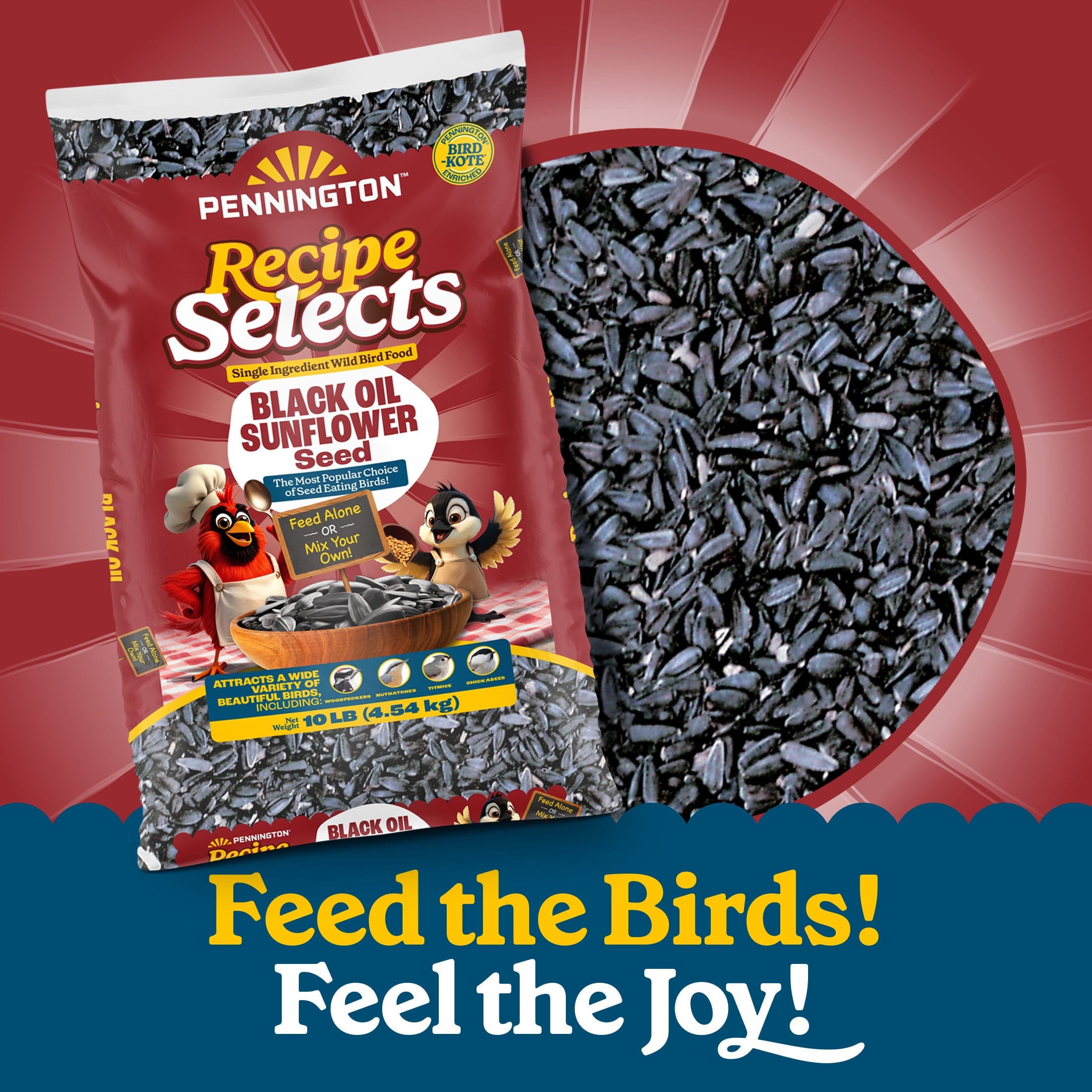 Pennington Select Black Oil Sunflower Seed Wild Bird Dry Feed, 10 lb. New Bag — home and garden product, view 2
