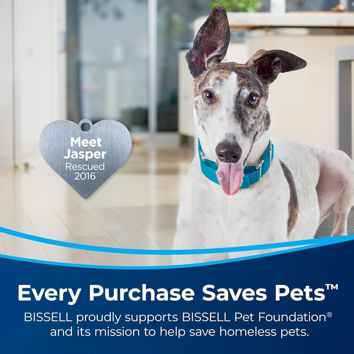 BISSELL SurfaceSense Allergen Lift-Off Pet - image 6 of 6