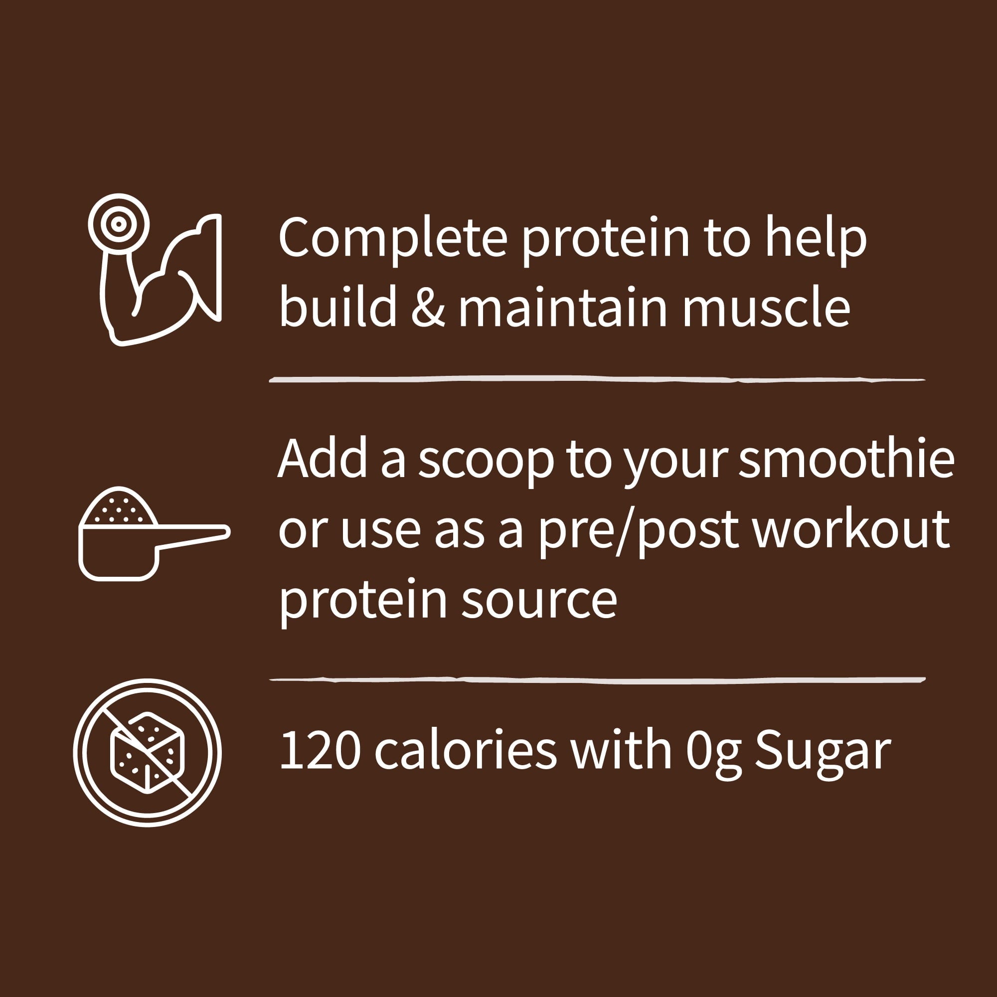 Garden of Life Organic Plant-Based Protein Powder, Chocolate, 20g Protein Shake Drink — sports nutrition product, view 5