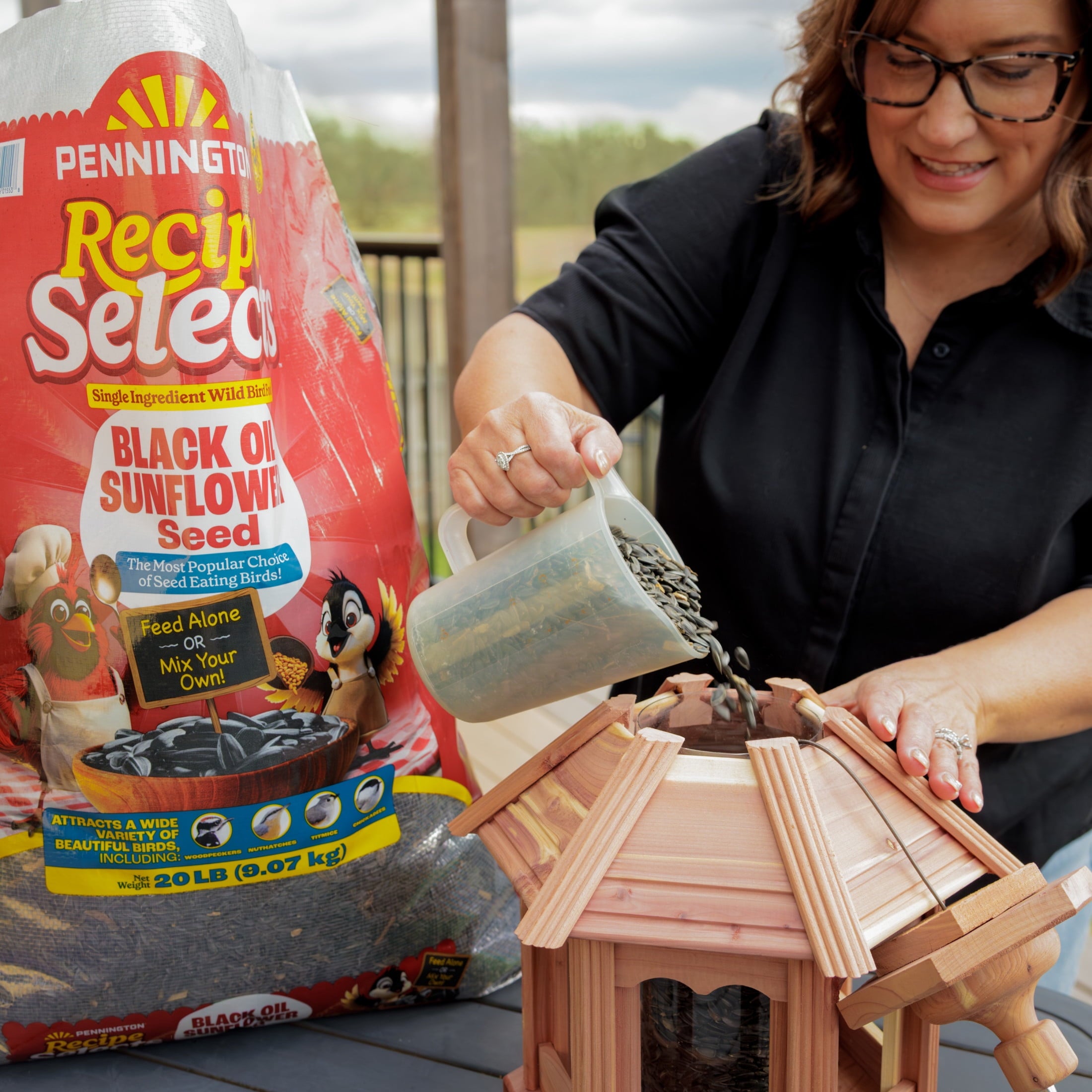 Pennington Select Black Oil Sunflower Seed Wild Bird Dry Feed, 10 lb. New Bag — home and garden product, view 13