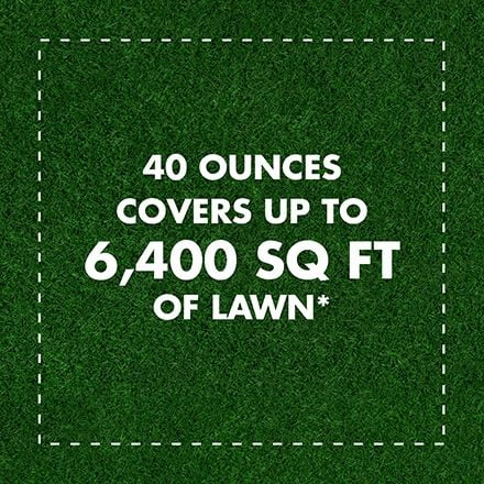 Spectracide Triazicide Insect Killer For Lawns And Landscapes Concentrate, 40 Ounces — home and garden product, view 5