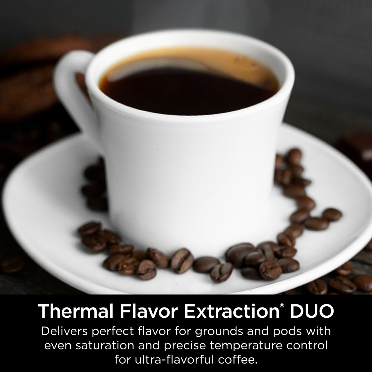 Ninja DualBrew Hot & Iced 12-Cup Drip Coffee Maker - image 5 of 6