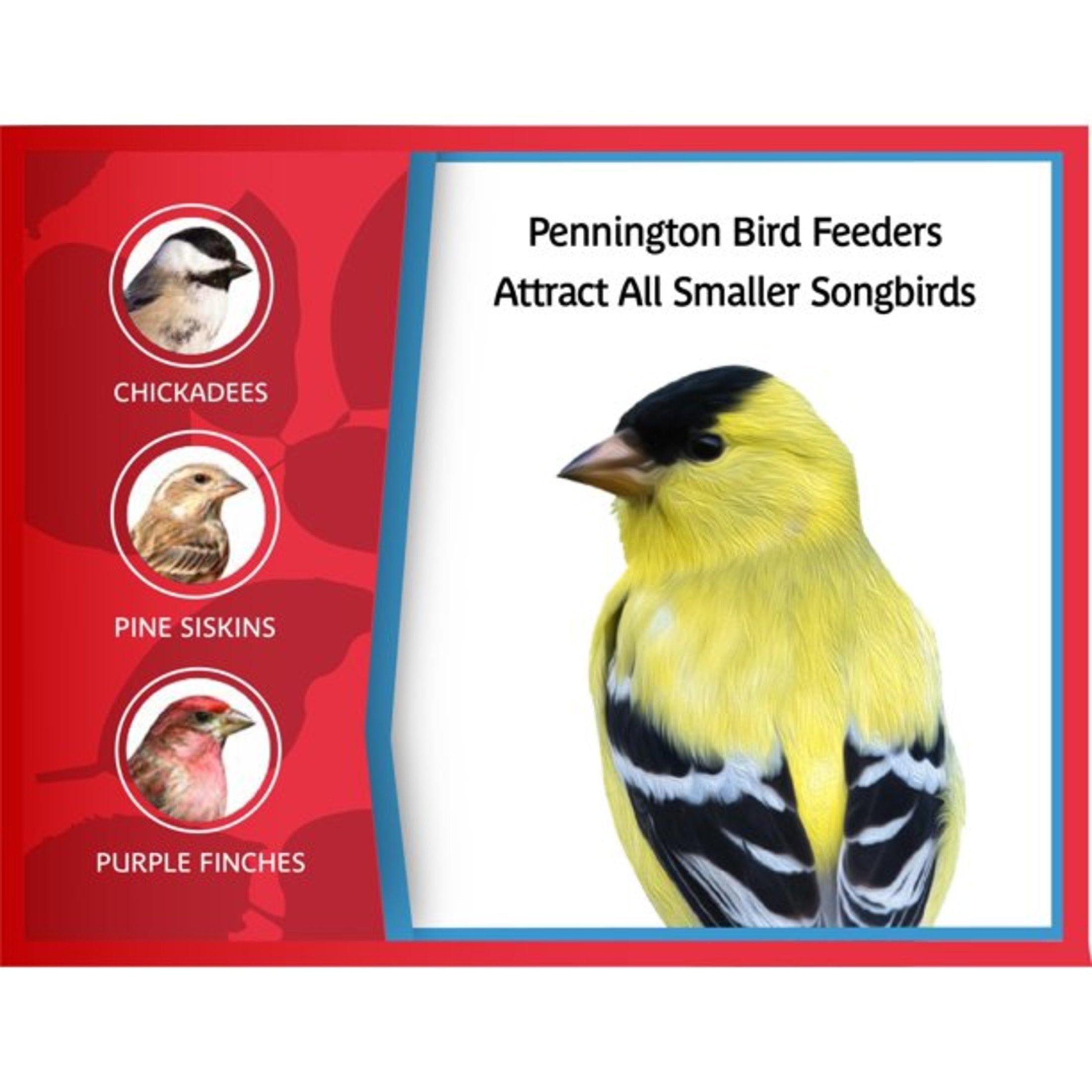 Pennington Earth Smart, Gray Plastic, Hopper Wild Bird Feeder, 2.5 lb. Capacity — home and garden product, view 9
