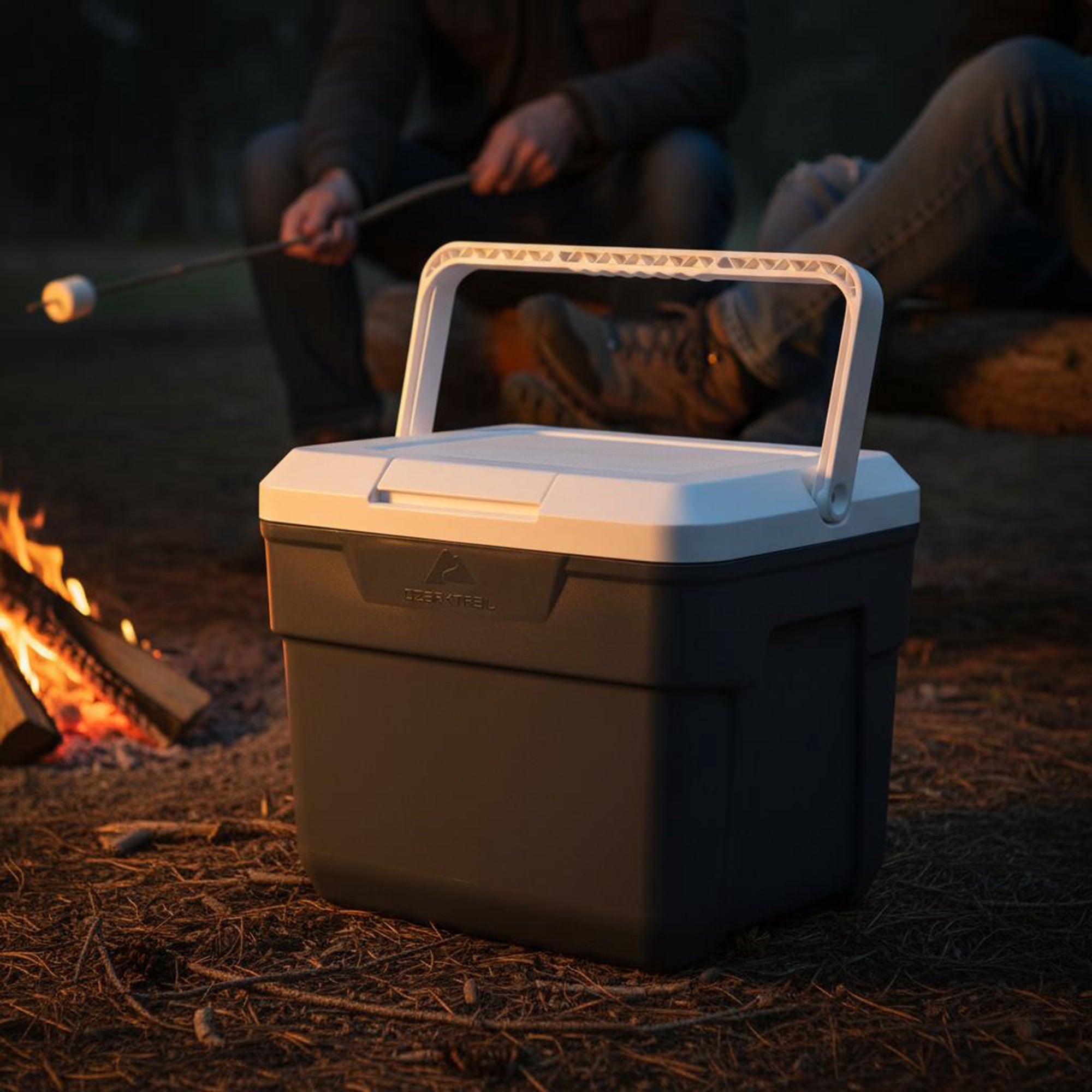 Ozark Trail 10 qt 14-Can Hard-Sided Cooler, Gray — sports and outdoor product, view 2
