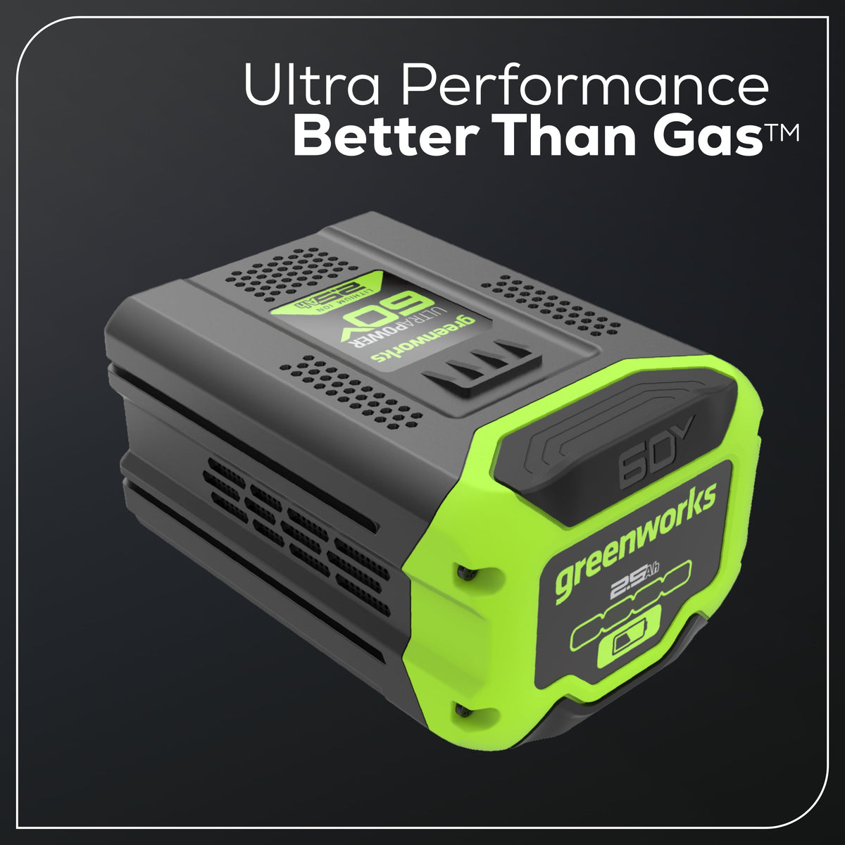 Greenworks 60 Volt 2.5Ah Battery 1807202 - image 4 of 6