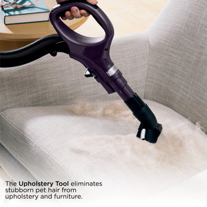 Shark Lift-Away Upright Vacuum - image 5 of 6