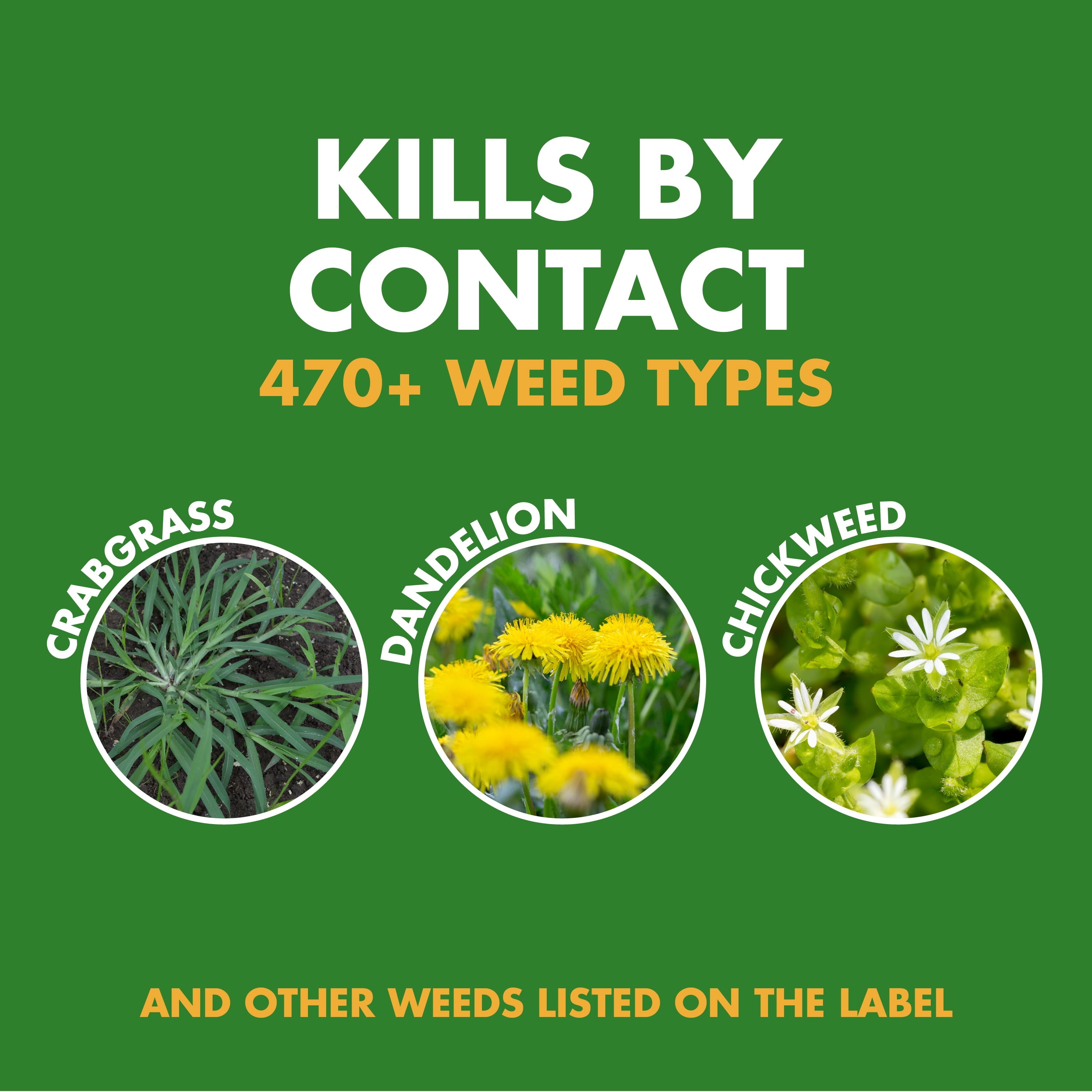 Generic Spectracide Weed Stop for Lawns Plus Crabgrass Killer Concentrate, 32 Ounces — home and garden product, view 3
