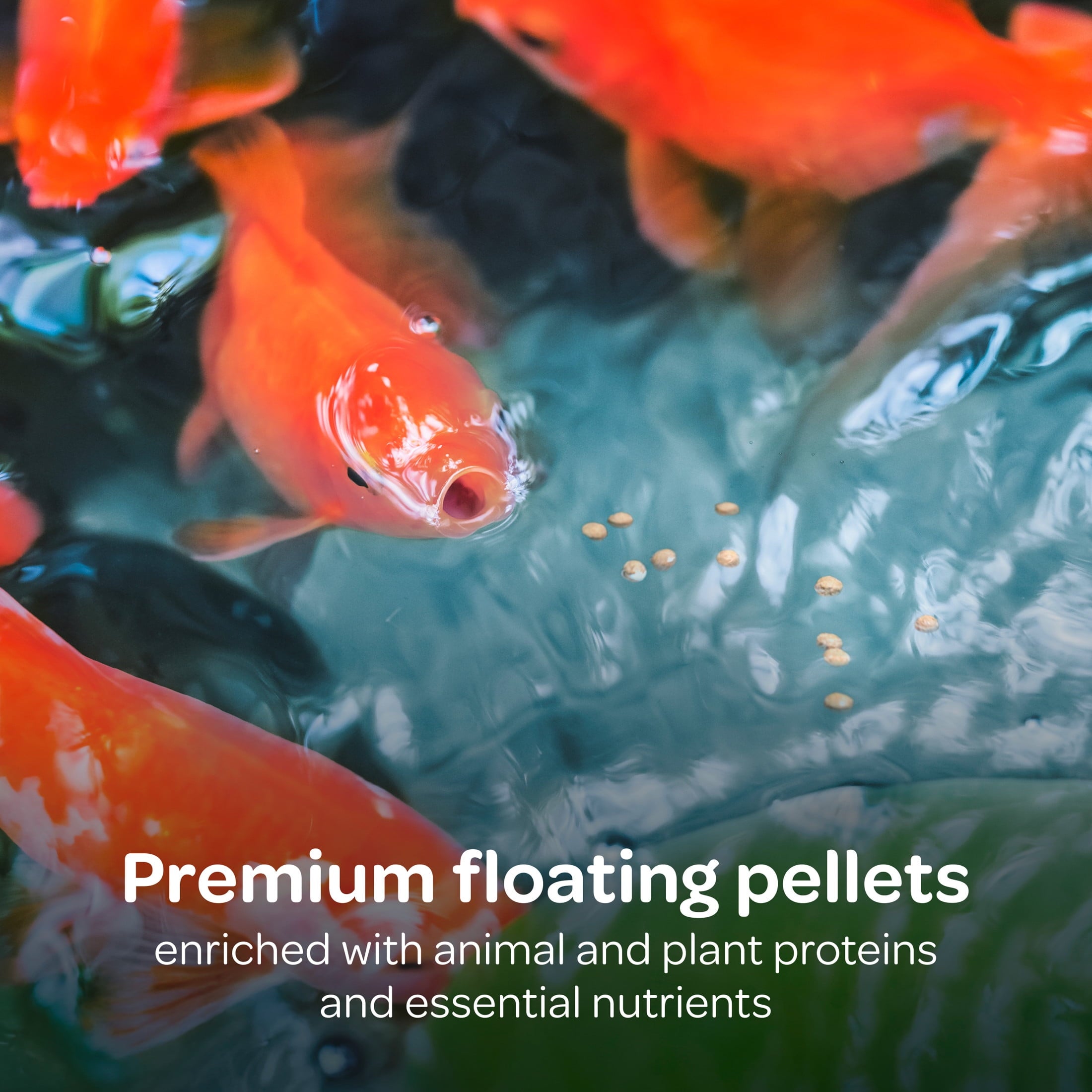Kaytee Koi's Choice, Floating Fish Food 10 pounds — home and garden product, view 3