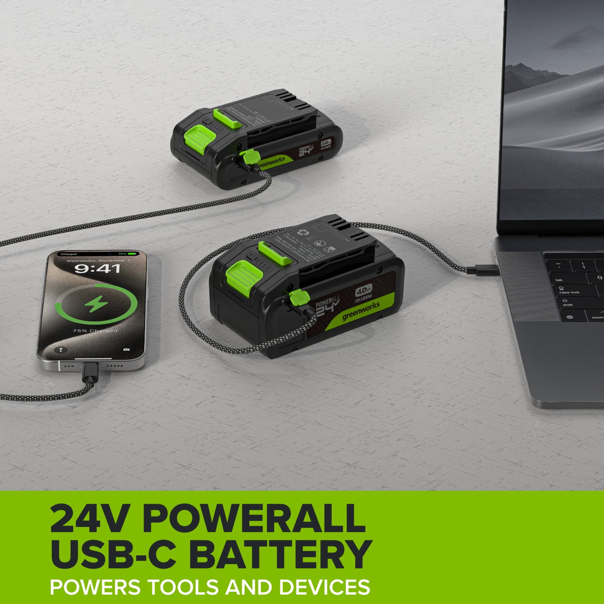 Greenworks PowerAll 24V Battery 2-Pack - image 4 of 6