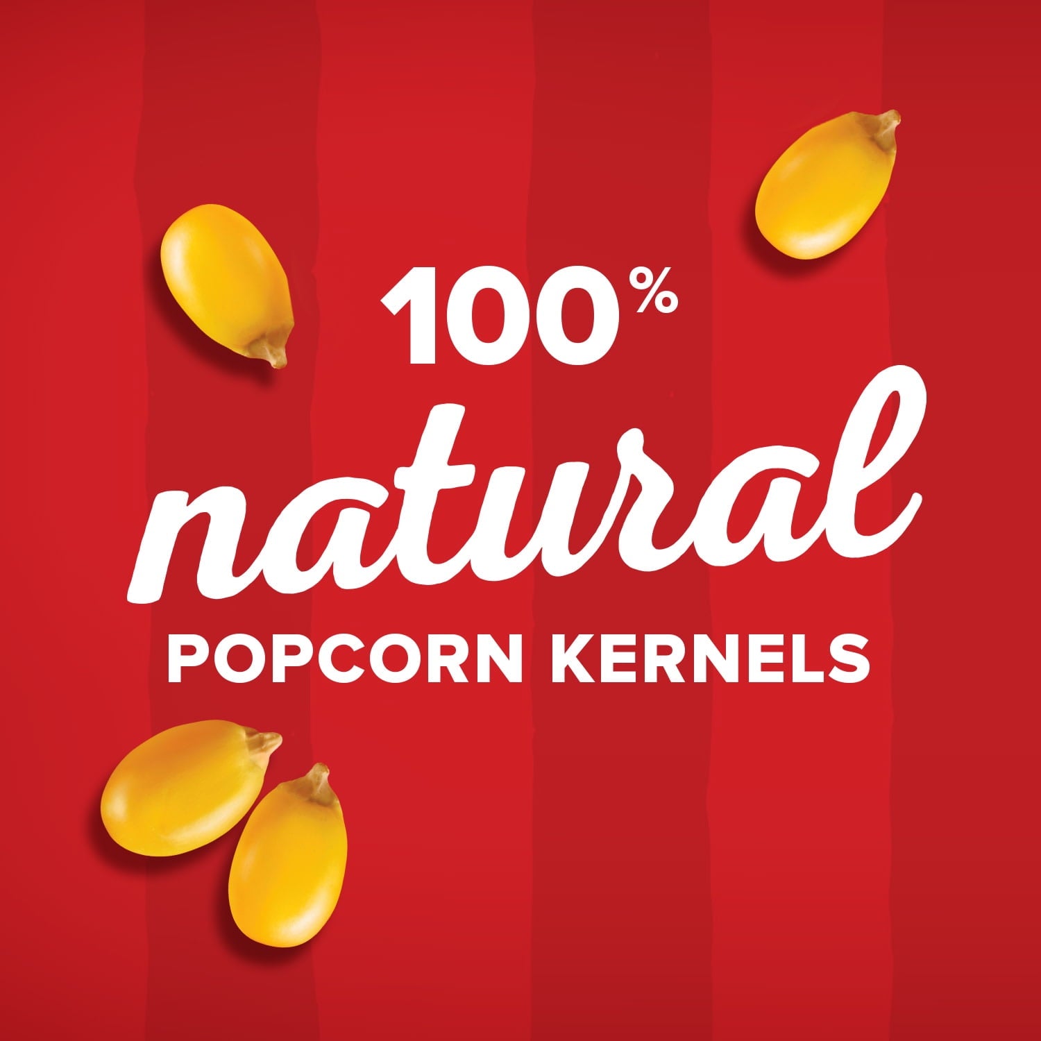 Orville Redenbacher's Popcorn Kernels, Yellow Corn, 45 oz. — grocery product, view 2