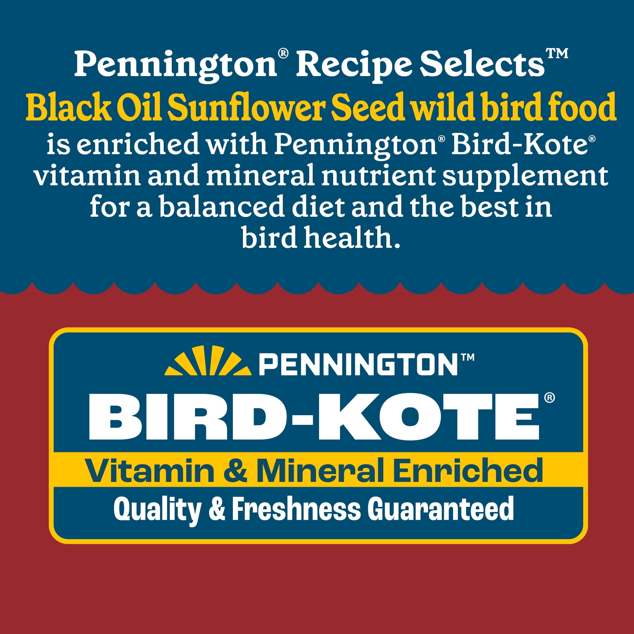 Pennington Select Black Oil Sunflower Seed Wild Bird Dry Feed, 10 lb. New Bag — home and garden product, view 8