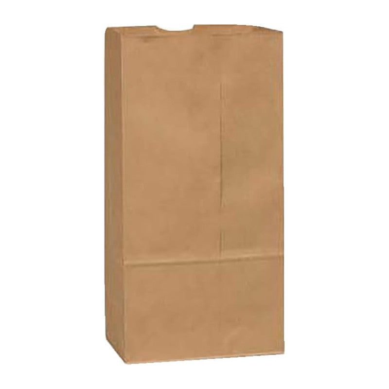 Brown Paper Bag # 12 (500/case) — packaging supply