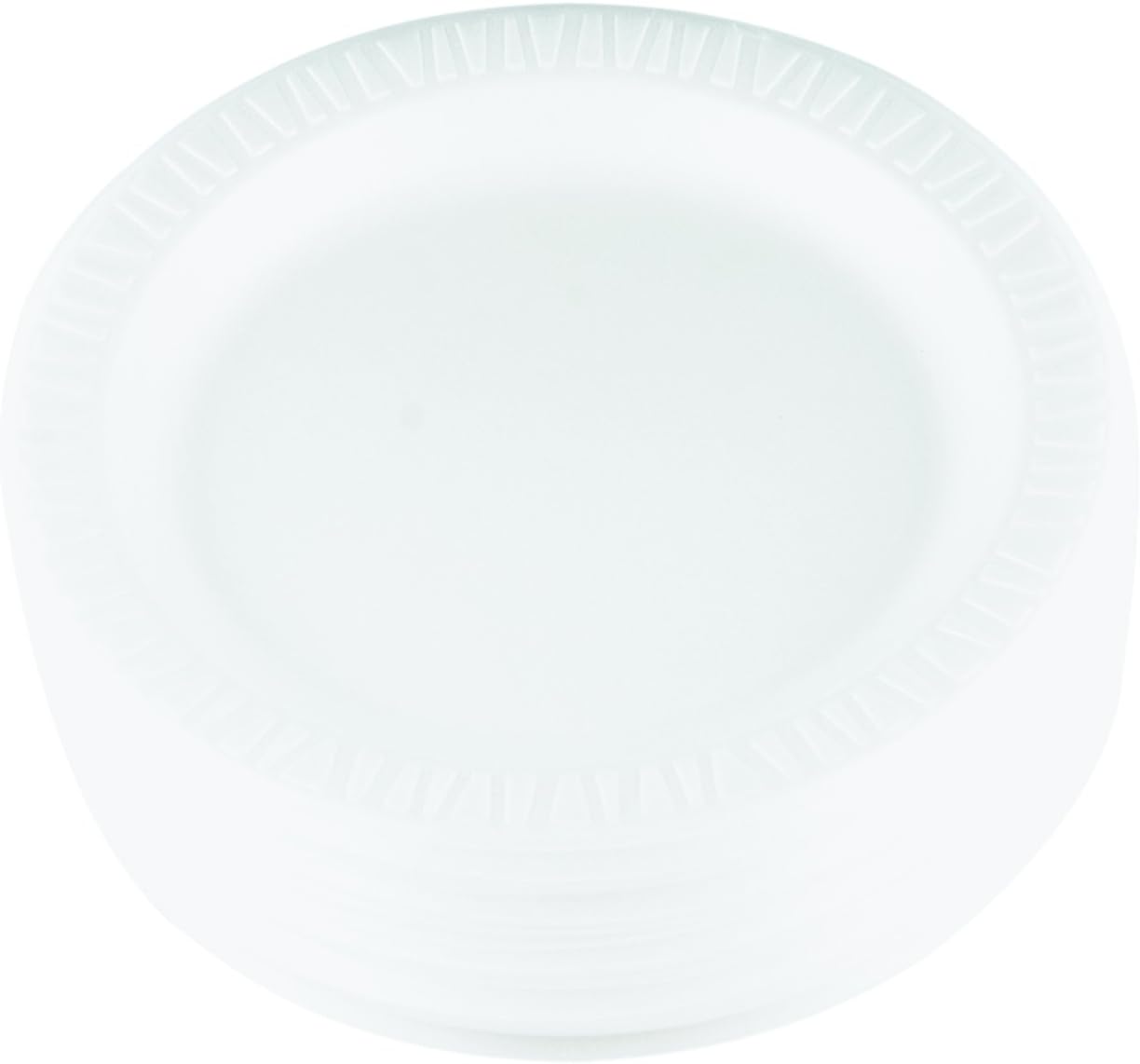 Foam Plate 9" (500/Case) — catering supply