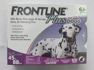 Frontline Plus For Dogs 45 to 88 LBS 6 Doses 6 Month Supply — pet care product