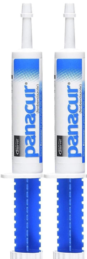 PANACUR Dewormer Horse Paste 10%, 100mg (2-Pack) — pet care product